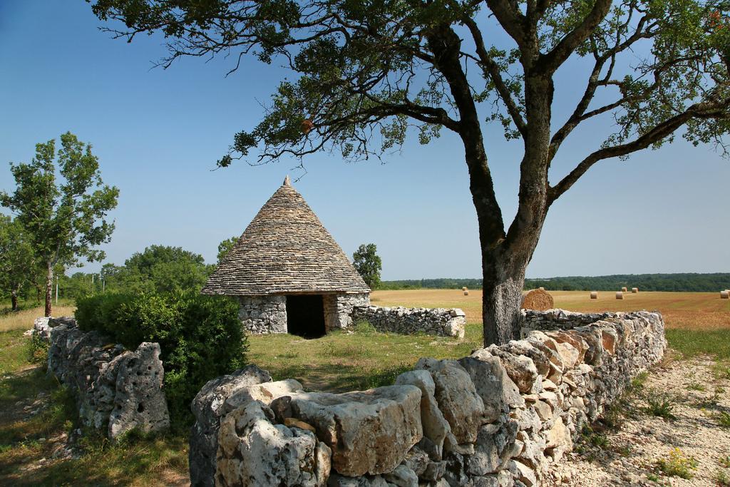 La Vayssade - Maison d'Hôtes - Jacuzzi, Piscine&Truffes Lalbenque Exterior foto